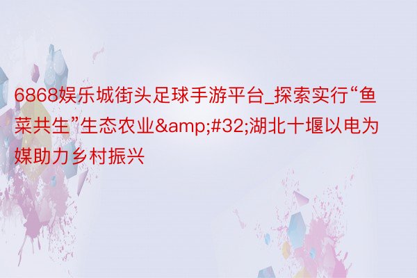 6868娱乐城街头足球手游平台_探索实行“鱼菜共生”生态农业&#32;湖北十堰以电为媒助力乡村振兴