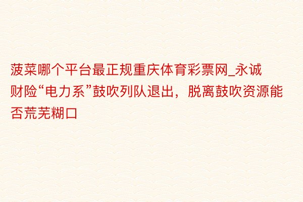 菠菜哪个平台最正规重庆体育彩票网_永诚财险“电力系”鼓吹列队退出，脱离鼓吹资源能否荒芜糊口